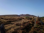 IMG-20190917-WA0005.jpg