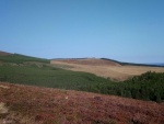 IMG-20190917-WA0013.jpg