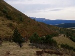IMG-20190917-WA0014.jpg