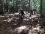 IMG-20190917-WA0044.jpg