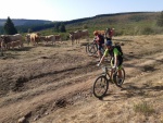 IMG-20190917-WA0047.jpg