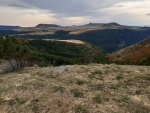 IMG-20190917-WA0051.jpg