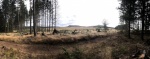 IMG-20190917-WA0068.jpg
