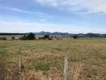 IMG-20190917-WA0081.jpg