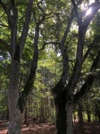 IMG-20190917-WA0091.jpg