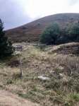 IMG-20190917-WA0101.jpg