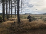 IMG-20190917-WA0105.jpg