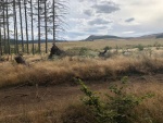IMG-20190917-WA0109.jpg